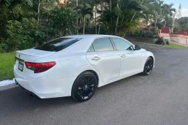 2014 premium sports mark x