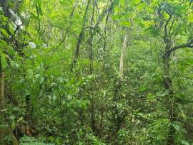 30 Acres of Land For Sale in Ulster Spring