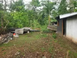 LAND