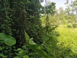 1 ¼ Acre Of Land