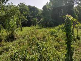 1 ¼ Acre Of Land