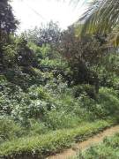 Land For Sale Cheap