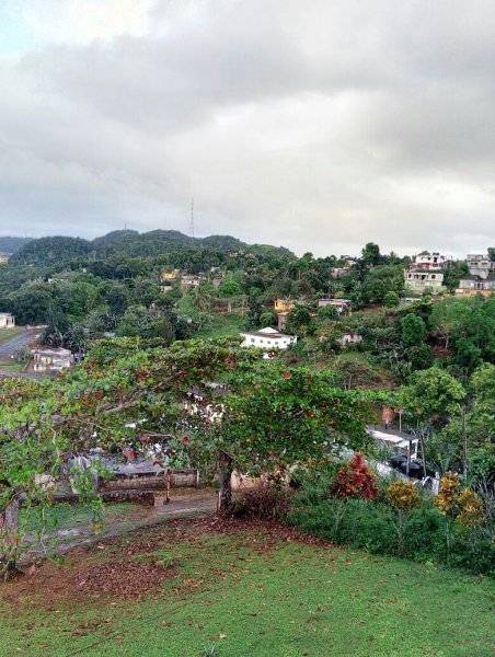 Fantastic Hillside Building Lot