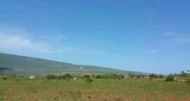 8.004903 Acres Agricultural / Residential Lot