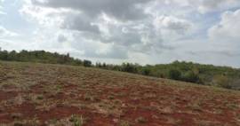 8.004903 Acres Agricultural / Residential Lot