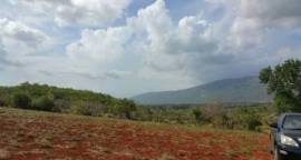 8.004903 Acres Agricultural / Residential Lot