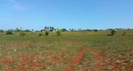 8.004903 Acres Agricultural / Residential Lot