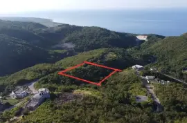 Land for Sale 1/3 Acres , Spring Garden, Blck A, St Thomas