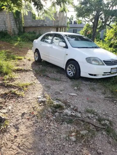 2002 Toyota Kingfish