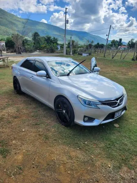 2014 Silver Toyota Mark X