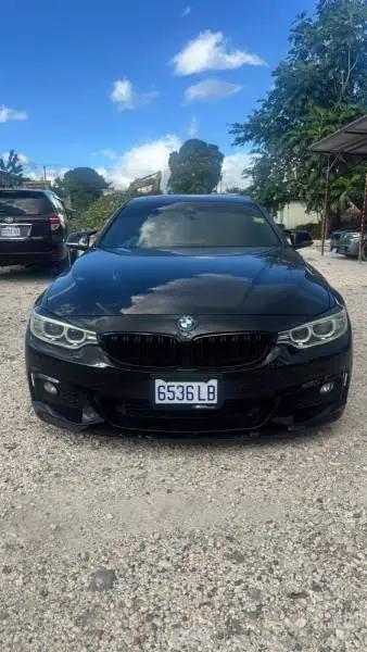 2015 BMW M2( Petrol)