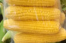 Sweet Corns