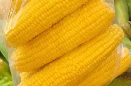 Sweet Corns
