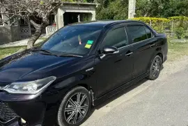 2016 Toyota Axio (Hybrid) WXB G Package