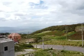 1/4 Acre Residential Lot