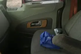 International Pro Star