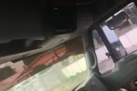 International Pro Star