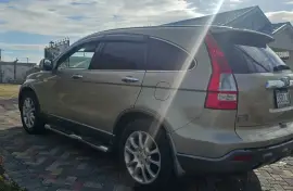 2007 Honda CRV Turtle Back