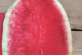 Honey sweet watermelon