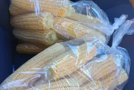 Sweet Corn