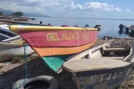 28 ft fishing boat with 40hp engine. 6 month old