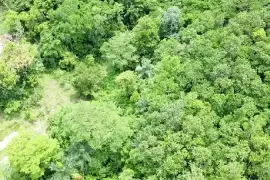 30 Acres of Land