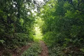 30 Acres of Land