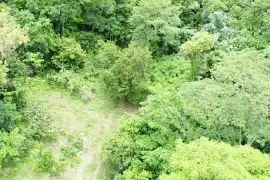 30 Acres of Land