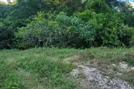 30 Acres of Land