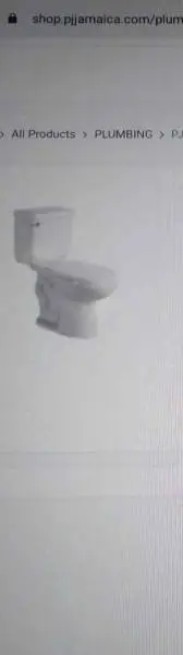18" Elongated High Toilet