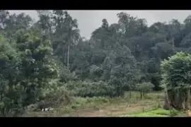 3 acres of land