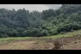 3 acres of land