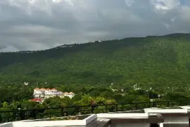 1 Bedroom, 1 Bathroom Apartment