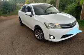 2014 TOYOTA AXIO 2WD