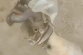 Ad wagon ,tida and note catalytic converter