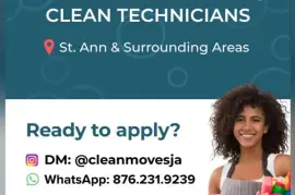 Clean Technicians