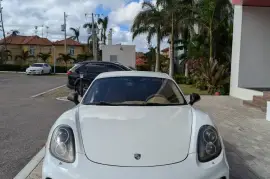 2014 Porsche 981
