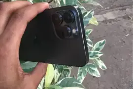 iPhone 13 Pro Max unlocked