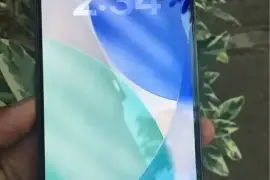 iPhone 13 Pro Max unlocked