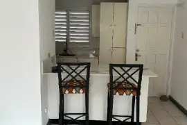 1 Bedroom, 1 Bathroom Apartment