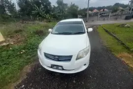 2011 Toyota Fielder