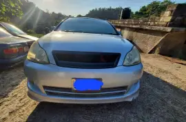 2007 Toyota Ipsum