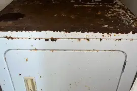 Whirlpool Dryer