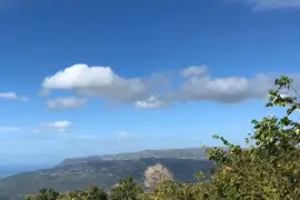 3 AND A HALF ACRES OF LAND