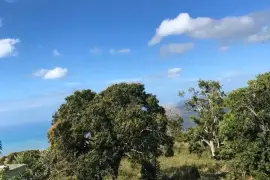 3 AND A HALF ACRES OF LAND