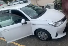 Newly imported 2019 Toyota Fielder Hybrid