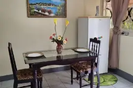 Fully Furnished 1 Bedroom, 1 Bath Apt