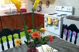 Fully Furnished 1 Bedroom, 1 Bath Apt