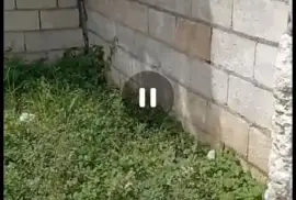 Land with 2 bed room