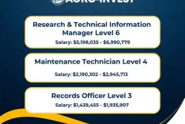 Research &amp; Technical Information Manager Level 6
